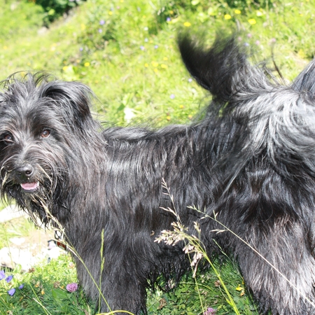 Urlaub im Allgäu (11)